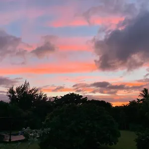North Shore Garden , Haleiwa USA
