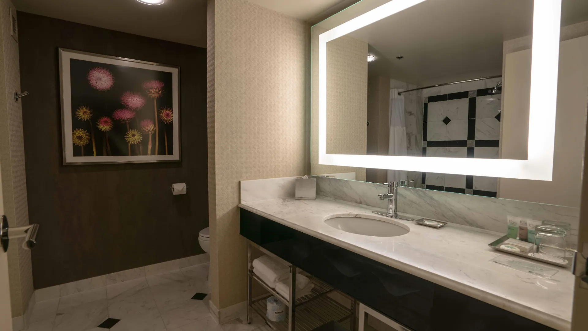 Hotel Mgm Grand Las Vegas Rezort